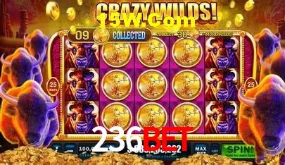 236Bet Salvador - Football