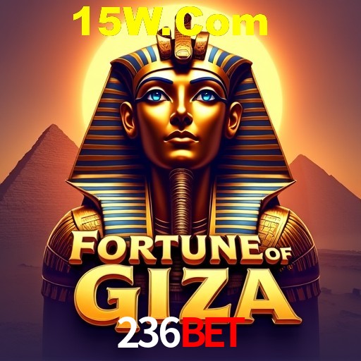 Descubra a Essência do 236Bet: Nossa História e Compromissos